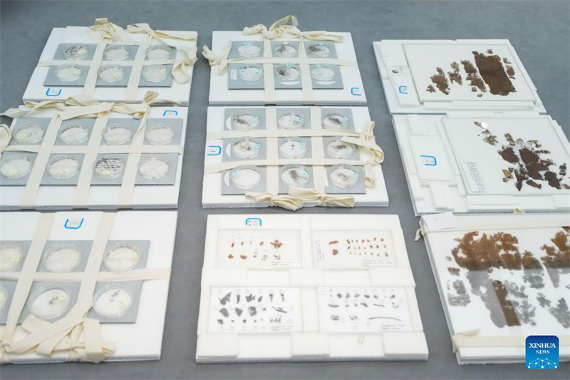 Des manuscrits chinois sur soie vieux de 2?300 ans de retour après près de huit décennies passées à l'étranger