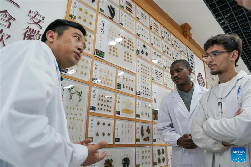 Anhui?: des étudiants étrangers apprennent la médecine traditionnelle chinoise à Hefei