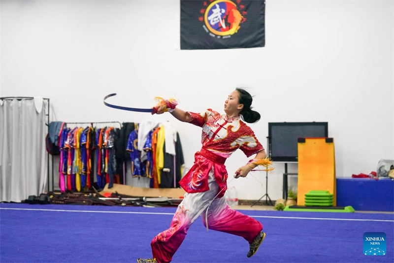 Anhui?: des étudiants étrangers apprennent la médecine traditionnelle chinoise à Hefei