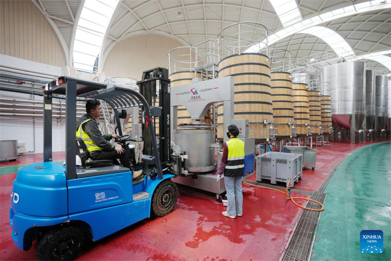 Ningxia?: la ville de Minning prospère grace au vin dans un contexte de transformation écologique