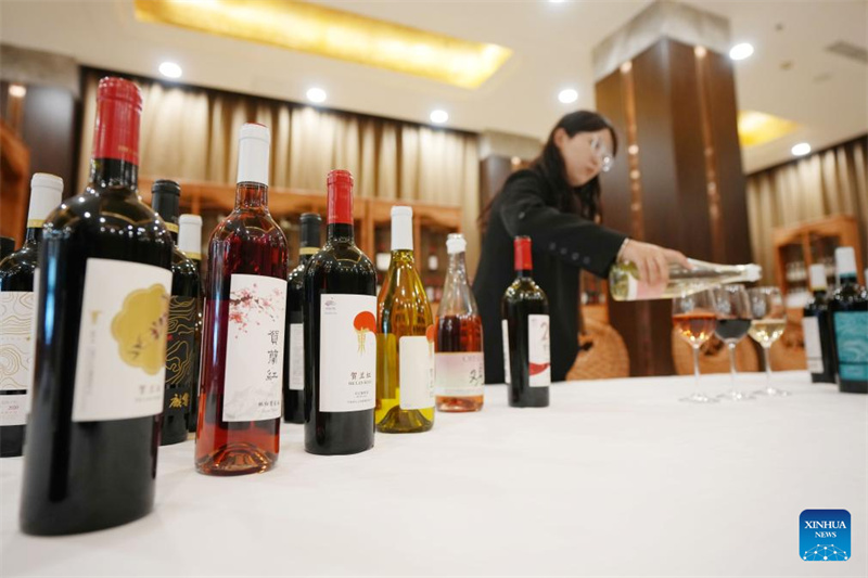 Ningxia?: la ville de Minning prospère grace au vin dans un contexte de transformation écologique