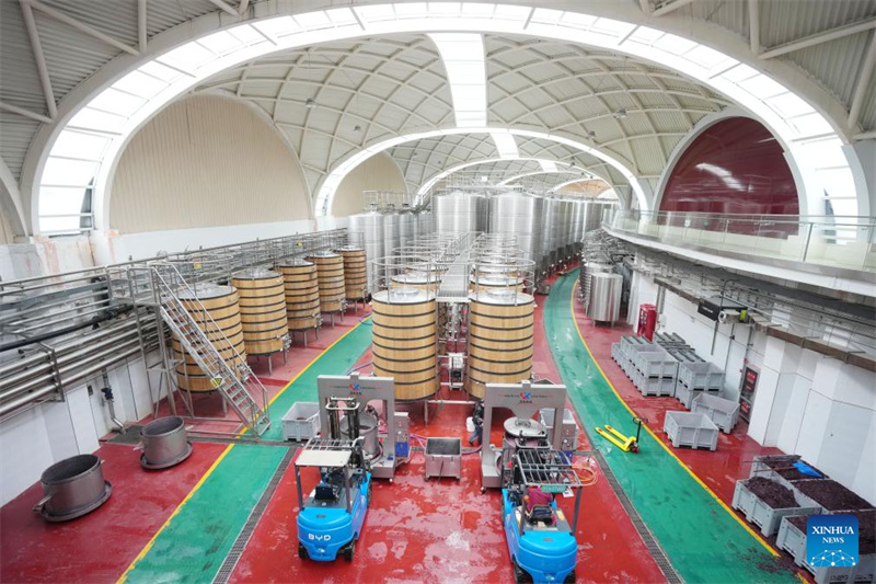 Ningxia?: la ville de Minning prospère grace au vin dans un contexte de transformation écologique