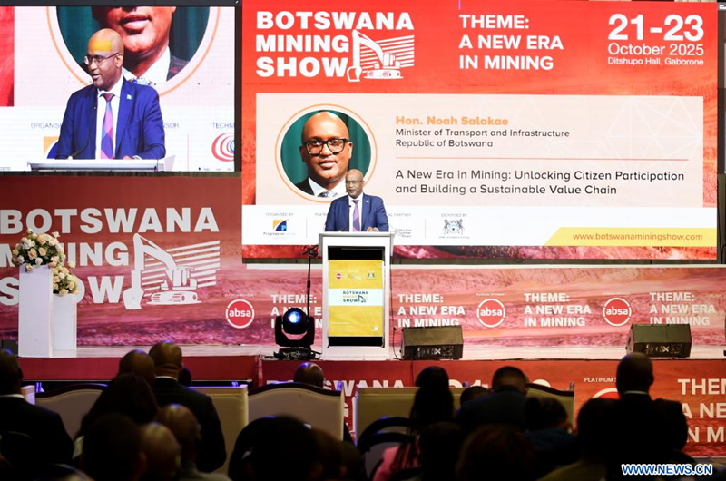 (Xinhua/Tshekiso Tebalo)