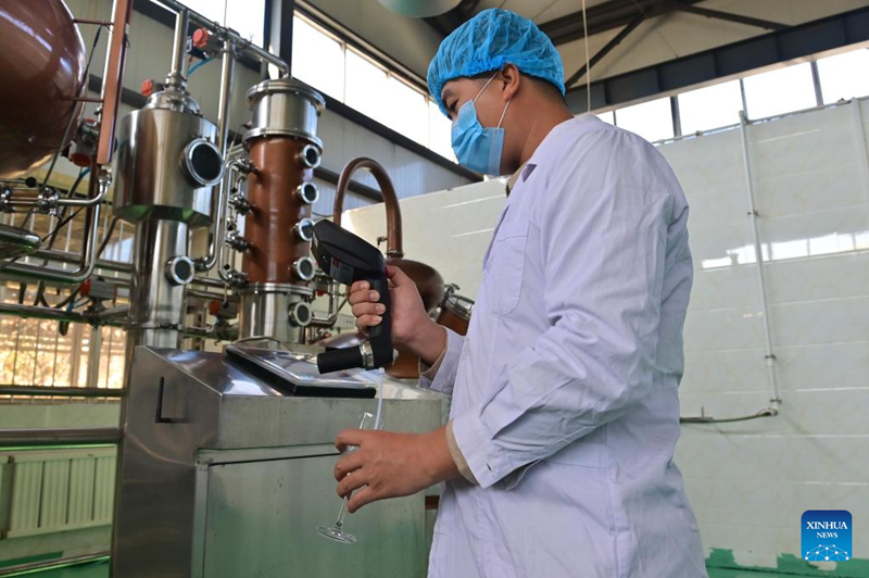 Liaoning?: les entreprises de transformation de poires Nanguo de Haicheng entrent dans la haute saison de production