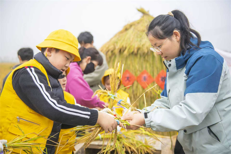 Jiangsu : une ? classe des récoltes d'automne ? au c?ur des rizières à Suqian