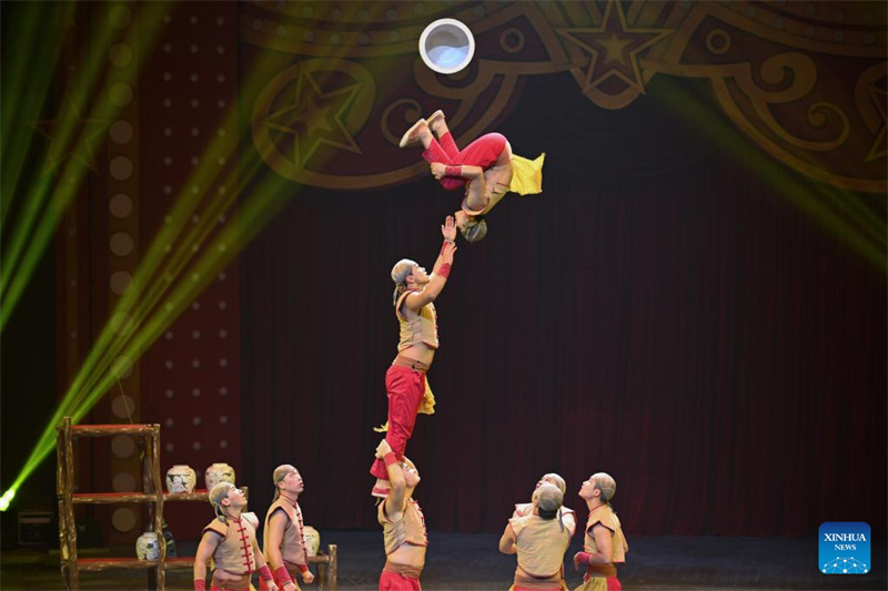 Guangdong : ouverture du 8e Festival international du cirque de Chine à Hengqin