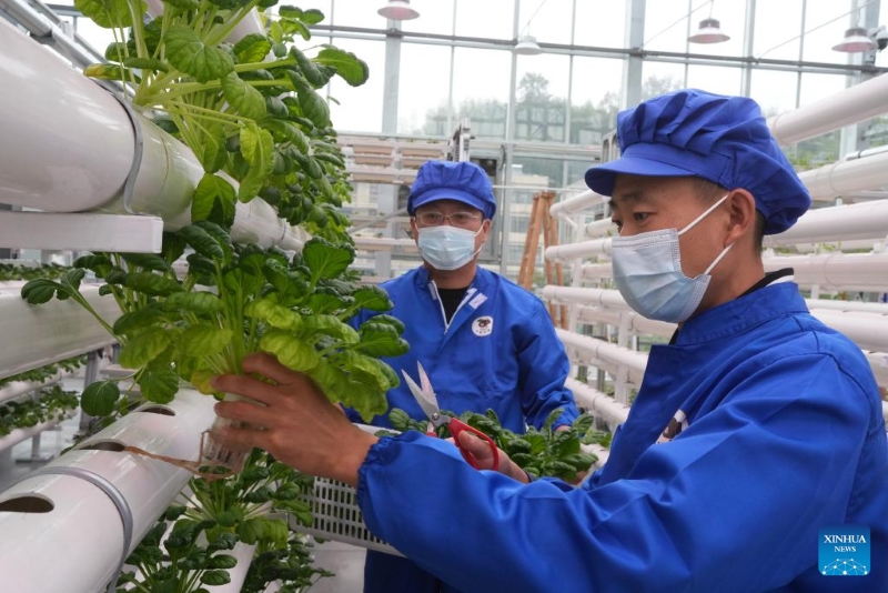 Zhejiang?: un parc agricole intelligent alimenté par les sciences et technologies inauguré à Zhuji