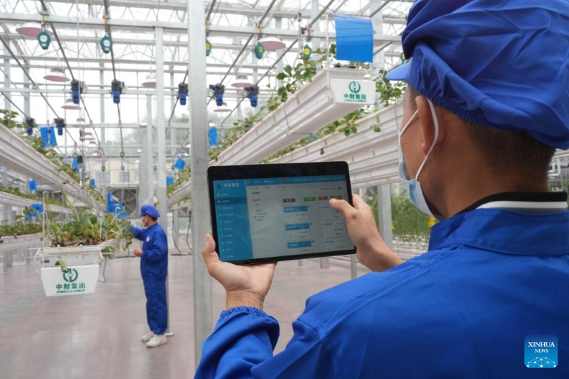 Zhejiang?: un parc agricole intelligent alimenté par les sciences et technologies inauguré à Zhuji