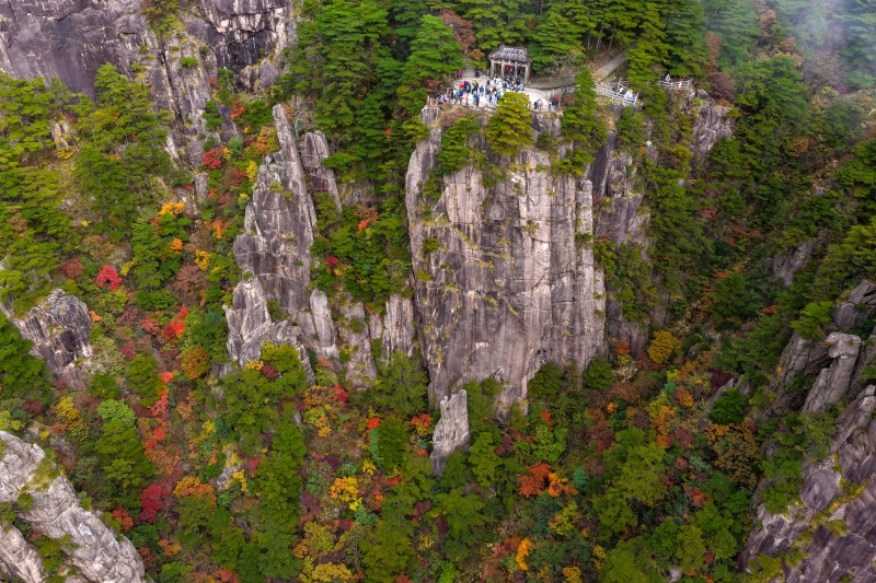 Anhui : les pics et forêts de Huangshan illuminés par les couleurs d'automne