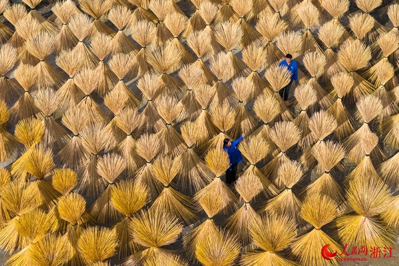Zhejiang : la fibre de bambou sèche au soleil et l'industrie prend un nouvel élan à Longquan