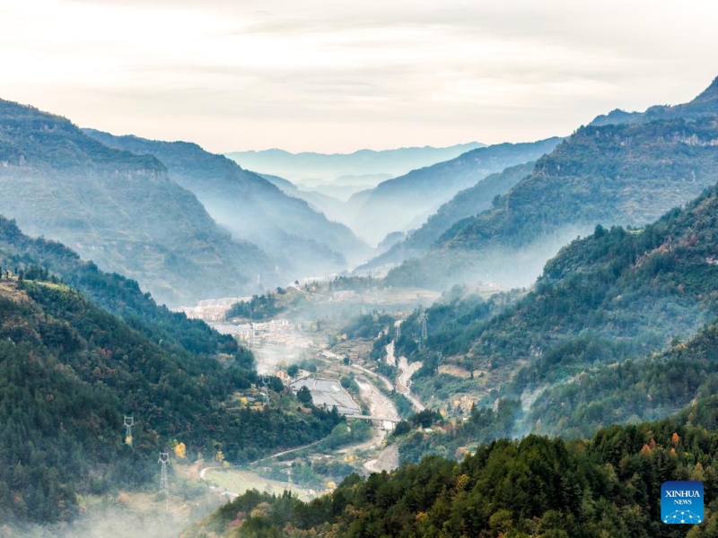 Chongqing?: le canton de Zhongyi développe des industries caractéristiques pour stimuler le développement rural