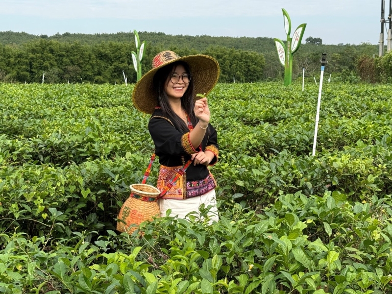 Hainan?: les experts étrangers découvrent la culture du thé biologique à Baisha