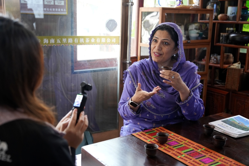 Hainan?: les experts étrangers découvrent la culture du thé biologique à Baisha