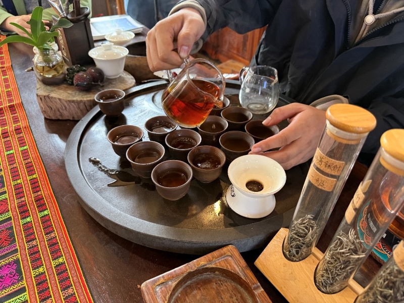 Hainan?: les experts étrangers découvrent la culture du thé biologique à Baisha