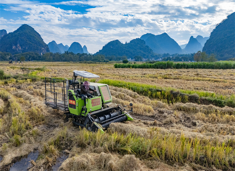 Guangxi : à Hezhou, le recyclage de la paille transforme les déchets en trésor