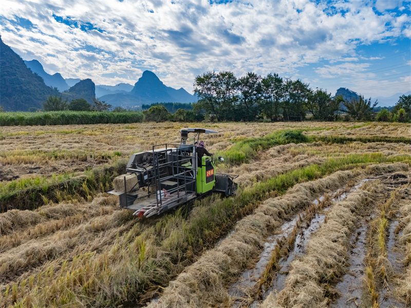 Guangxi : à Hezhou, le recyclage de la paille transforme les déchets en trésor