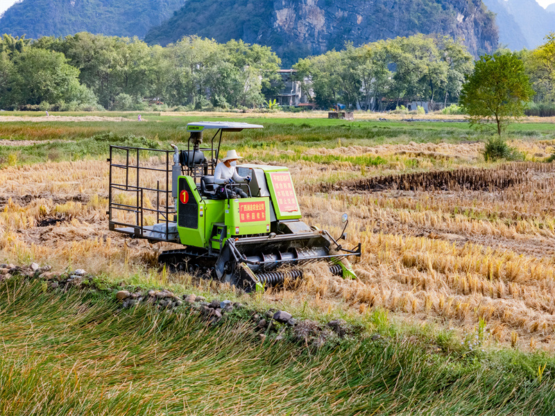 Guangxi : à Hezhou, le recyclage de la paille transforme les déchets en trésor