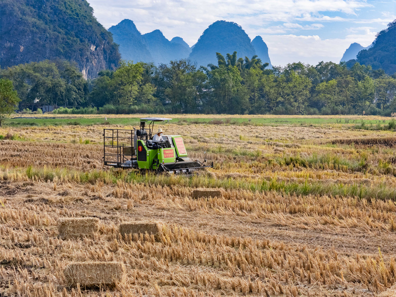 Guangxi : à Hezhou, le recyclage de la paille transforme les déchets en trésor