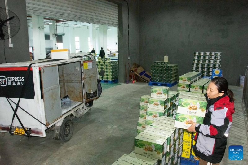 Hunan?: le district de Lengshuitan stimule le développement d'élevages de poules pondeuses