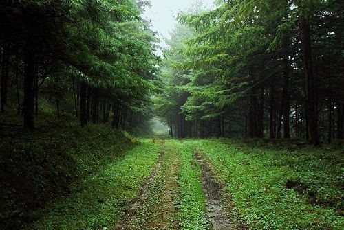 Situation géographique